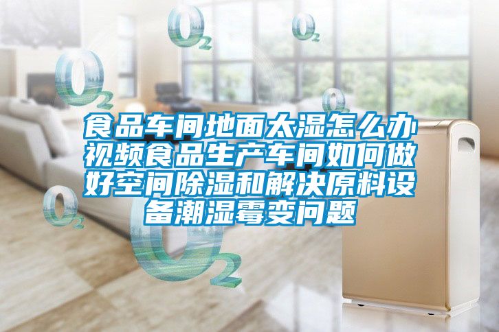 食品車間地面太濕怎么辦視頻食品生產車間如何做好空間除濕和解決原料設備潮濕霉變問題