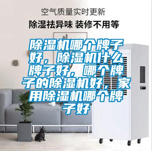 除濕機哪個牌子好，除濕機什么牌子好，哪個牌子的除濕機好，家用除濕機哪個牌子好