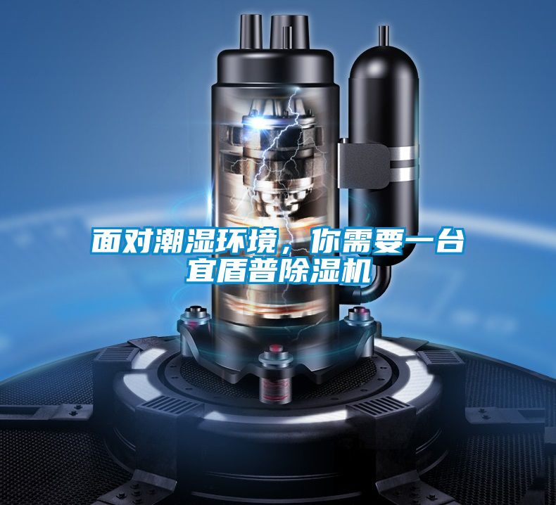 面對(duì)潮濕環(huán)境,你需要一臺(tái)宜盾普除濕機(jī)