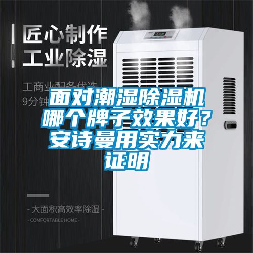 面對潮濕除濕機哪個牌子效果好？安詩曼用實力來證明