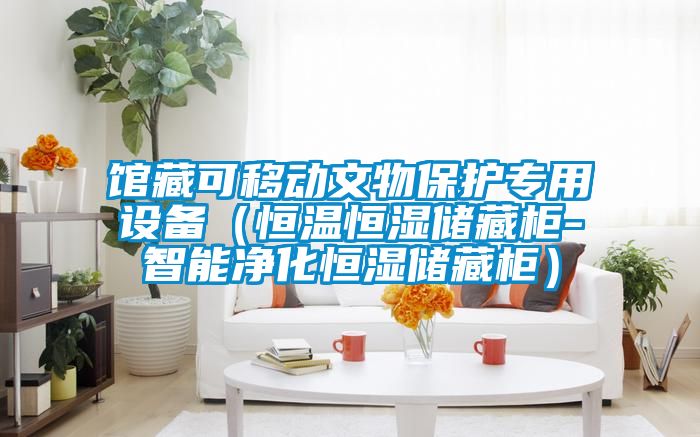 館藏可移動文物保護專用設備(恒溫恒濕儲藏柜-智能凈化恒濕儲藏柜)
