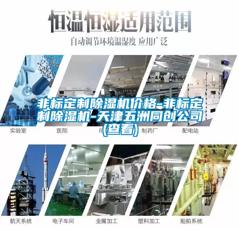 非標定制除濕機價格-非標定制除濕機-天津五洲同創公司(查看)