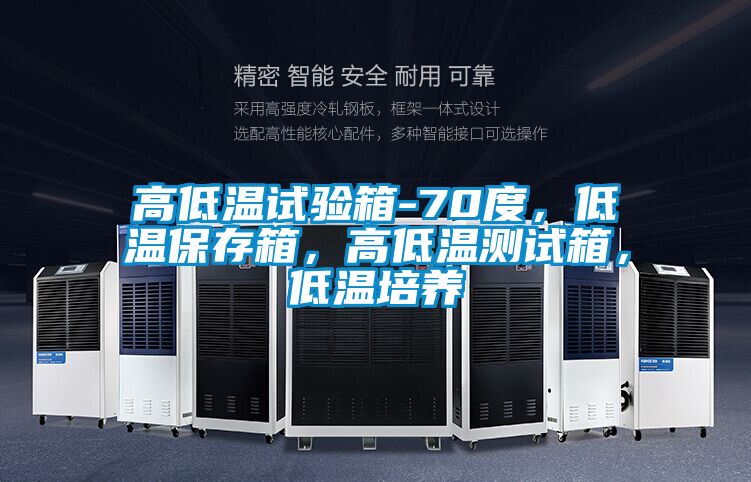 高低溫試驗箱-70度，低溫保存箱，高低溫測試箱，低溫培養