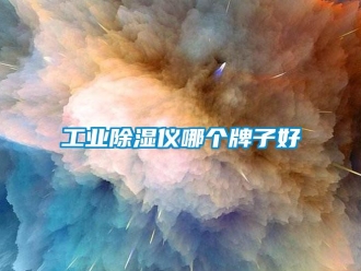 企業新聞工業除濕儀哪個牌子好