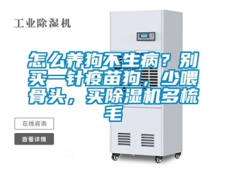 行業新聞怎么養狗不生病？別買一針疫苗狗，少喂骨頭，買除濕機多梳毛