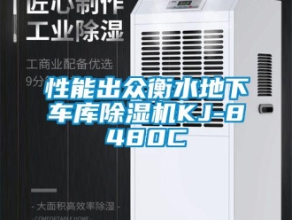 行業新聞性能出眾衡水地下車庫除濕機KJ-8480C