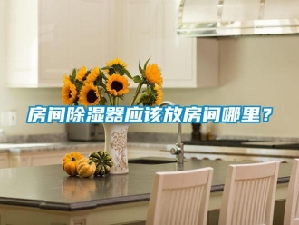 行業(yè)新聞房間除濕器應(yīng)該放房間哪里？