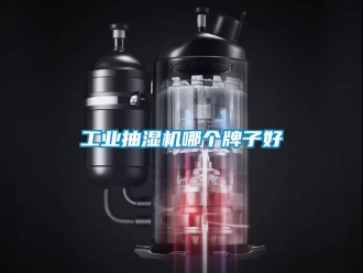 企業新聞工業抽濕機哪個牌子好