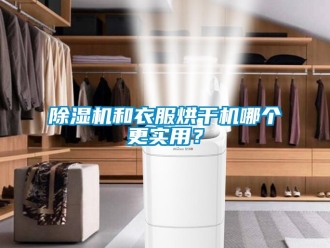 行業新聞除濕機和衣服烘干機哪個更實用？