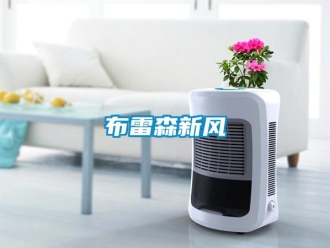 企業新聞布雷森新風