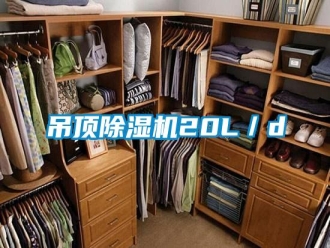 行業新聞吊頂除濕機20L／d