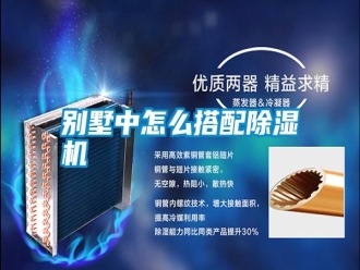 行業新聞別墅中怎么搭配除濕機