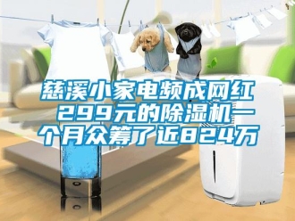 行業新聞慈溪小家電頻成網紅 299元的除濕機一個月眾籌了近824萬
