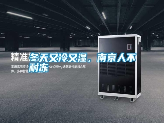 行業新聞冬天又冷又濕，南京人不耐凍