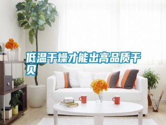 行業新聞低溫干燥才能出高品質干貝