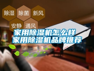 企業新聞家用除濕機怎么樣 家用除濕機品牌推薦