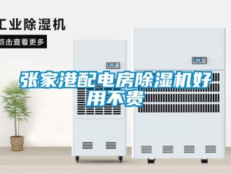 行業新聞張家港配電房除濕機好用不貴