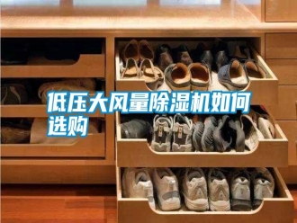 行業新聞低壓大風量除濕機如何選購