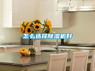 行業新聞怎么選擇除濕機好