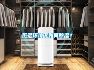 行業新聞低溫環境下如何除濕？
