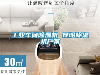 企業新聞工業車間除濕機 昆明除濕機廠家