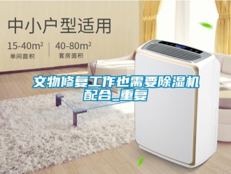 行業新聞文物修復工作也需要除濕機配合_重復
