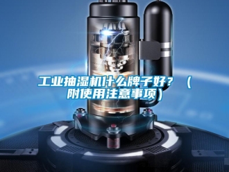 企業(yè)新聞工業(yè)抽濕機什么牌子好？（附使用注意事項）