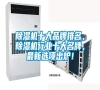 除濕機十大品牌排名，除濕機行業十大名牌，最新選項出爐！
