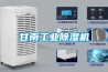 甘南工業除濕機