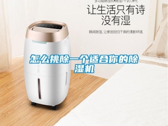 行業新聞怎么挑除一個適合你的除濕機
