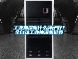 企業(yè)新聞工業(yè)抽濕機什么牌子好？全自動工業(yè)抽濕機推薦