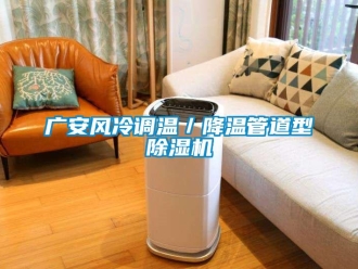 行業新聞廣安風冷調溫／降溫管道型除濕機