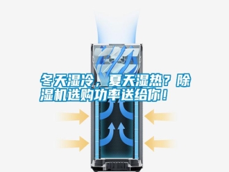行業新聞冬天濕冷，夏天濕熱？除濕機選購功率送給你！