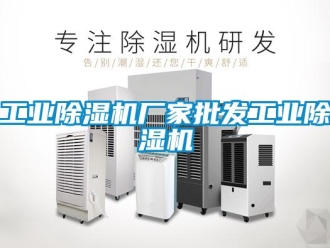 企業新聞工業除濕機廠家批發工業除濕機