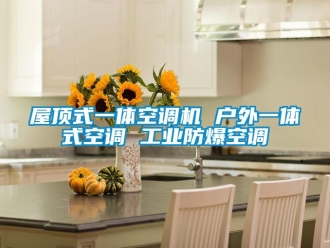 企業新聞屋頂式一體空調機 戶外一體式空調 工業防爆空調