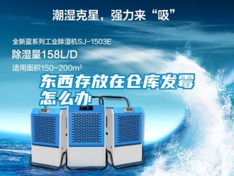 行業新聞東西存放在倉庫發霉怎么辦