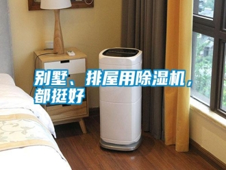行業新聞別墅、排屋用除濕機，都挺好