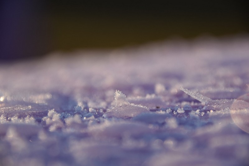 你知道除濕機為什么需要自動化霜嗎? 冷凍式除濕機化霜功能 你知道除濕機為什么需要自動化霜嗎? 冷凍式除濕機化霜功能