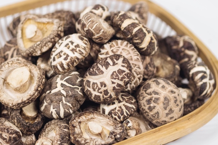 干貨倉庫怎么利用除濕機保持干爽？