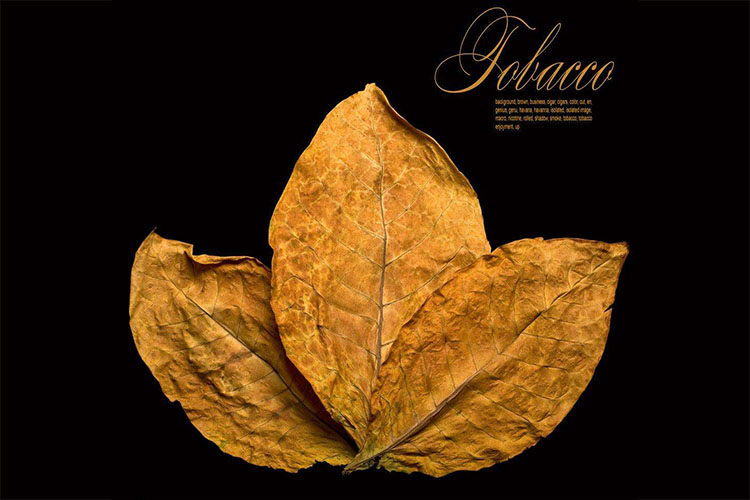 煙草煙葉除濕烘干技術參數 煙草煙葉干燥除濕機 煙草煙葉除濕烘干技術參數 煙草煙葉干燥除濕機