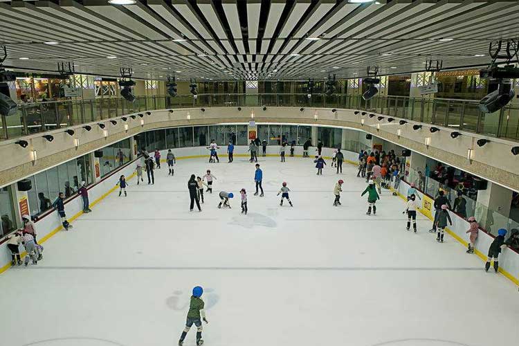 溜冰場室內除濕機濕度控制_除濕機廠家 溜冰場室內除濕機濕度控制_除濕機廠家