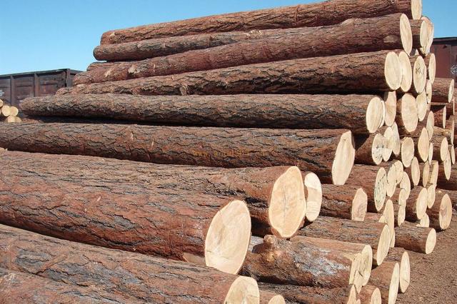 木材干燥為什么要用工業除濕機 木材干燥除濕機 木材干燥為什么要用工業除濕機 木材干燥除濕機