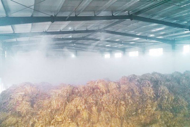 提升煙葉加工質(zhì)量,高效回潮很重要 煙葉除濕機(jī) 提升煙葉加工質(zhì)量,高效回潮很重要 煙葉除濕機(jī)