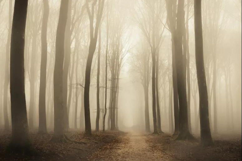 “回南天”除濕溫馨提示 回南天除濕機 “回南天”除濕溫馨提示 回南天除濕機