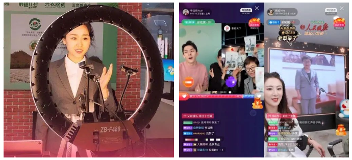 紅遍全網的柞水木耳,烘干技術很重要!! 紅遍全網的柞水木耳,烘干技術很重要!!