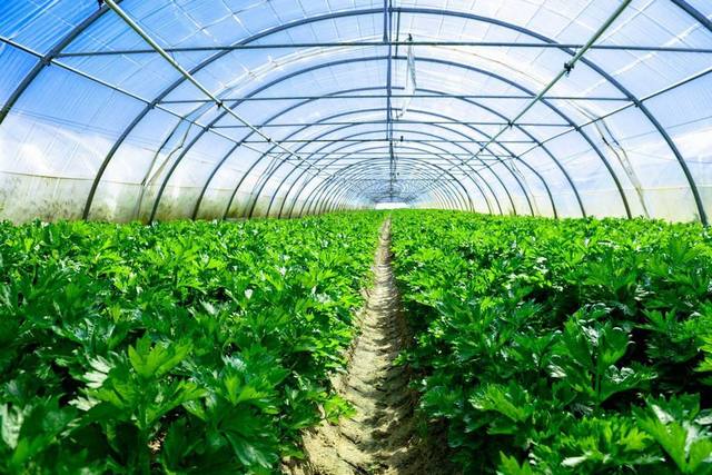 除濕機—溫室大棚的溫濕控制系統 除濕機—溫室大棚的溫濕控制系統