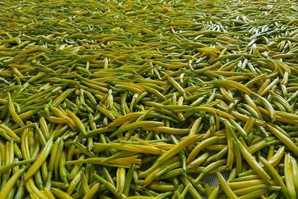 無硫金針菜烘干如何保持品相?不發黑? 無硫金針菜烘干如何保持品相?不發黑?