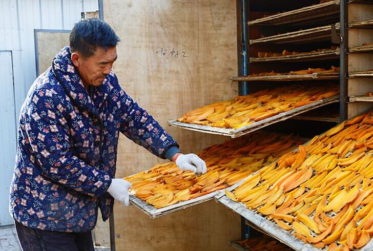 高溫烘干機在大型農業部門才更具有經濟可行性 高溫烘干機在大型農業部門才更具有經濟可行性