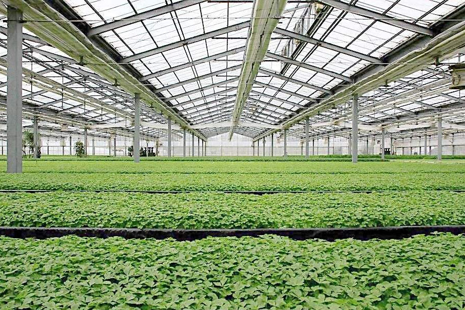 除濕器如何解決高濕度、多種危害的溫室除濕問(wèn)題? 除濕器如何解決高濕度、多種危害的溫室除濕問(wèn)題?