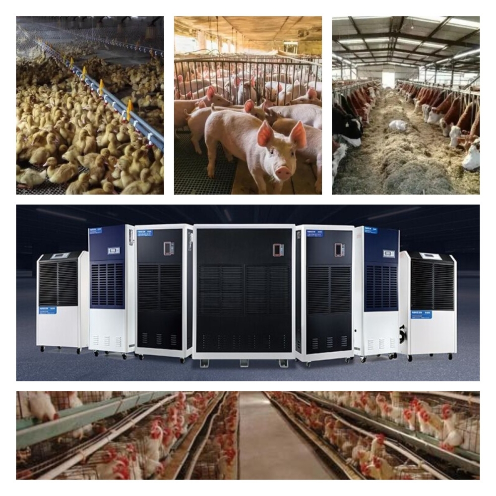 安詩曼家禽養殖除濕機解決方案 安詩曼家禽養殖除濕機解決方案